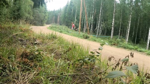 5.8K views · 225 reactions | Rally Finland 2025 Stage 8 Highlights #wrc #rallyfinland #motorsport #rally #rallying See more content like this on our youtube account. https://youtube.com/@themshub | The Motorsport Hub | Facebook