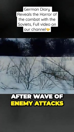 German Diary reveals the Horrors of Combat | Old Storyteller