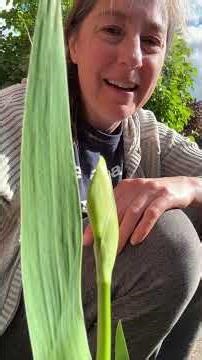 Nature journaling tip: observe how a plant changes over time #naturejournal