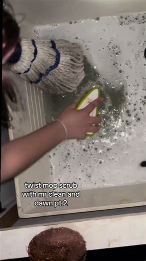 Twist Mop Scrub with Mr. Clean and Dawn: Part 2