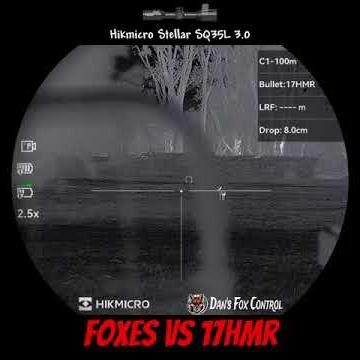 5 Foxes removed with 17hmr & Hikmicro Stellar SQ35L 3.0
