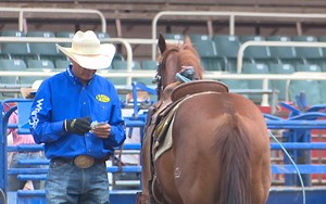 U.S. Team Roping Colorado Championships look to continue rain or shine | KRDO