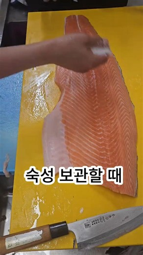 일식30년실장의 연어의 생각 #요리 #쇼츠 #일식 #연어