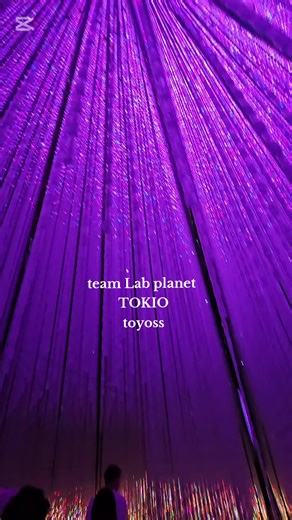東京新豊洲駅前のteamLabに行って来ました。マスコミが取り上げられて、大人気スポットです😌今年の1月にリニューアルされて、大人も子供も全身で遊べる施設です！音と光の共演はスペクタクルな演出で見る人をteamLabのデジタルアートの中の主人公で居られる気分にさせてくれます。ウォーターエリア✨では膝上まで水があるので、teamLabに遊びに来る時はゆったりしたパンツ、ズボンがオススメです！ガーデンエリアでは幻想的な空間の中綺麗なデジタルアートが見れますフォレストエリアでは、アスレチック的な運動で、身体を動かして楽しめたり、滑り台などあって、子供以上に大人が喜んでました😆🎶 あっという間の4時間でしたけど、本当に楽しめました。不満があるとするなら、飲食店いくつかのお店あったんですけど、ラーメン🍜が2000円小さなパンケーキが900円など高いなあと思いました😂あと、場所柄！欧米人がやたら多くて😅teamLabのスタッフも外国人多かったです！何故か自分にスタッフが英語で話しかけてきたので(笑)逃げました😂 凄く楽しめて、素敵な場所です😌💓遊びに来てください😆🎶 #東京 