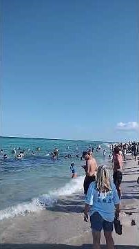 F-15 Eagles Fast Pass over South Beach Miami