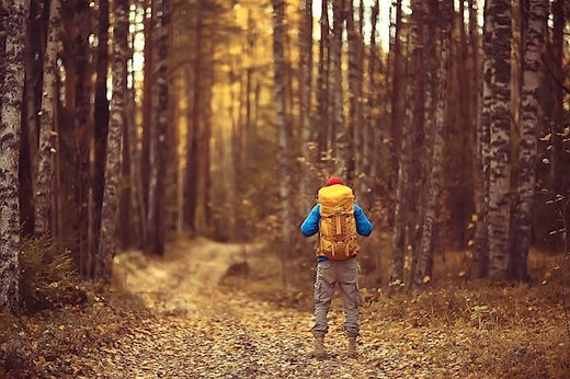 Finland's best national parks for hikers, paddlers, foragers and nature lovers - Lonely Planet