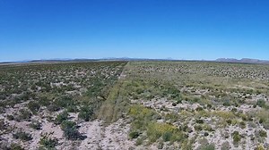 Cows and Keyline: Restoring Desert Grasslands