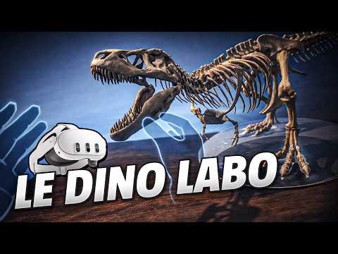 Le Dino Labo - Meta Quest 3 Gameplay | First Minutes [No Commentary]