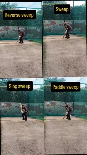Strength & conditioning specialist on Instagram: "Save this video if you want to learn all types of sweep while batting Learning by watching #viralreels #cricket #noida #icc #bcci #ipl #cricketer #kolkata #cricketaustralia #cricketlovers #womencricket #teamindia #cricketworldcup #msd #viratkohli #suryakumaryadav #sweepshot #crickettips #cricketfans #cricketfever #cricketvideos #sachintendulkar"