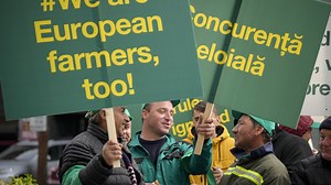 Romanian and Bulgarian farmers angry at Ukrainian agricultural imports