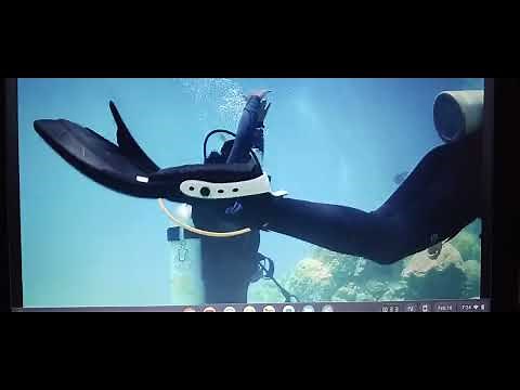 Dive Club (2021) Netflix Scuba Scene
