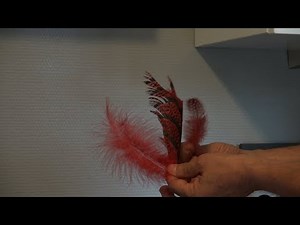 Montage de mouches : Comment teinter des plumes