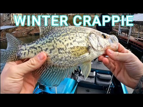 WINTER CRAPPIE FISHING | DEEP WATER | Lake of the Ozarks