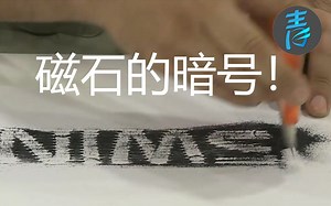 【NIMS】磁石的暗号！@青知字幕组_哔哩哔哩_bilibili