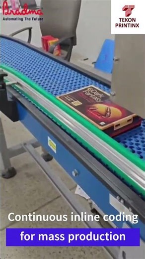 CO2 Laser Machine for Batch Coding - Conveyor Integrated Laser Coding System - Print MRP, Mfg. Date