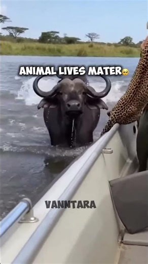 HEARTWARMING ANIMAL RESCUE STORIES | MOTHER WHO SACRIFICED EVERYTHING TO SAVE HER BABY