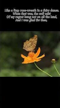 Robert Frost - "My Butterfly" read by Stephen J.N. Bauhart #poem #beauty #love