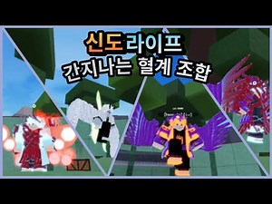 [신도라이프] 간지나는 혈계 조합!
