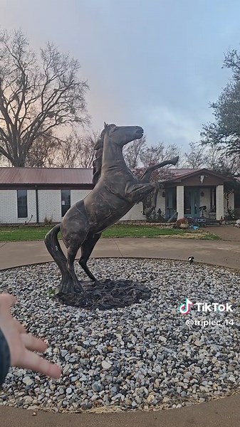 ranch tour part 2 #buckinghorses #broncs #rodeo #western #cowboy #Cowgirl #rodeos #horse #horses #horsesoftiktok #dreamhorse #horsegirl #barn #ranch #justranchin #Airbnb