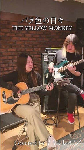 【#歌ってみた】バラ色の日々 / THE YELLOW MONKEY #shorts #バンド #カバー #cover #ハルレイン #バラ色の日々 #THEYELLOWMONKEY