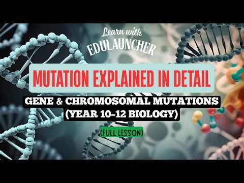 Mutation Explained in Detail | Gene vs Chromosomal Mutations (Year 10–12 Biology) Full Lesson