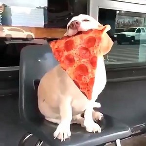 27K views · 619 reactions | When he buys you food | Elle Varner | Facebook