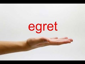 How to Pronounce egret - American English