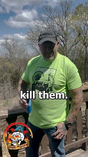 Wasps #funny #comedyvideo #jokesfordays | TheGuy | Facebook