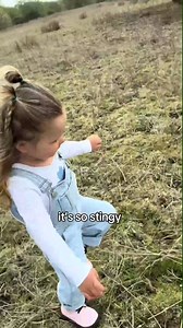 Bug’s Day at the Animal Farm! 🐮🐷🐔 After watching Maddie Triggs on @CBeebies Bug couldn’t stop talk | Itsa buglife