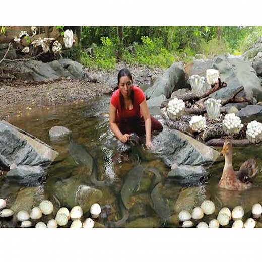 16K views · 85 reactions | Catch fish and pick duck egg mushroom for food of survival- Cooking duck+ 2cooking videos | CHEF GIRL | Facebook