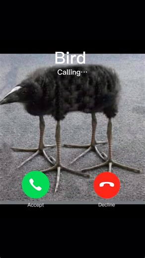 Your Phone Is Ringing on Instagram: "Day 367"