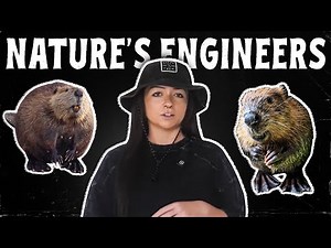 How Beavers Became So Sick | Lindsay Nikole