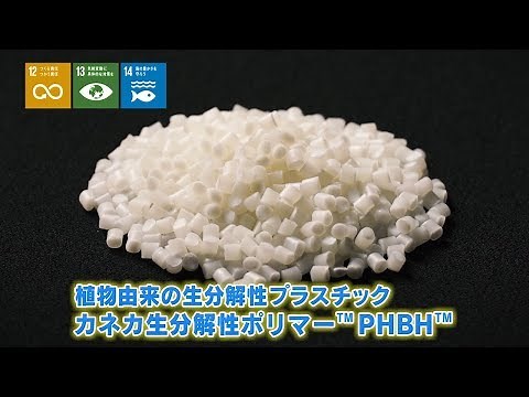 海洋ゴミ問題に挑む植物由来の生分解性プラスチック