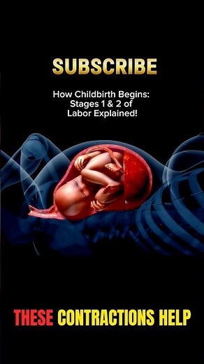 How Childbirth Begins: Stages 1 & 2 of Labor Explained! #pregnant #pregnancy #baby