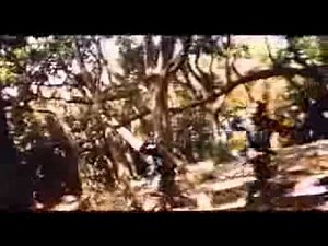 Medley Ninja Condor 13