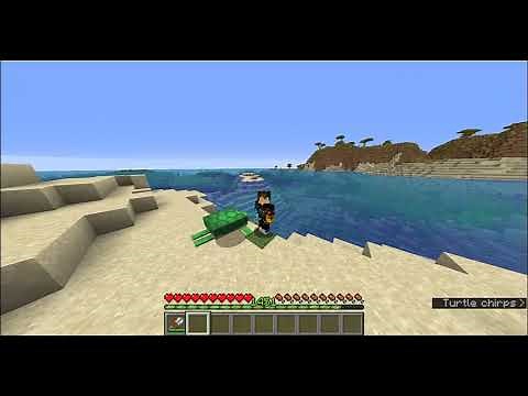 How to Tame Turtles in Minecraft!