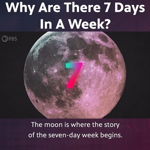788K views · 16K reactions | Why Are There 7 Days In a Week? | Be Smart | Facebook