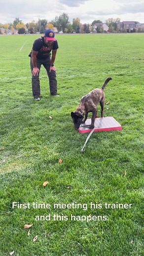 Zuko's First Meeting with His Trainer