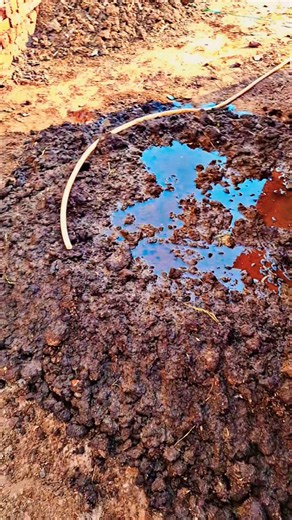 Compost new Project | Dung decomposition #compost #vermicompost #cowdung #shorts #viral #reels #fypシ