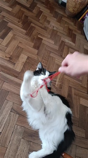 Videos de Jessica (@lajessik_) con “Wink - Sound Effect”