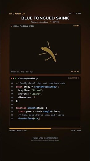 BLUE TONGUED SKINK: 2D Procedural Motion Study | Python Animation #Shorts