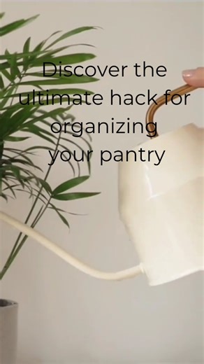 Watch Best Amazon Pantry Organization Essentials you need #inspire on Amazon Live