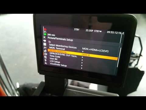 Timecode Jam Sync Canon C300 Mark II
