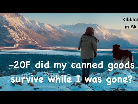 Will my canned goods survive sub zero weather while I'm away?