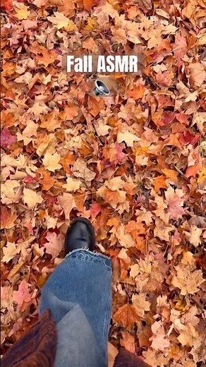 Sound of Autumn🍂 #youtubeshorts #fall #asmr #asmrsounds #canada #autumn #fallvibes