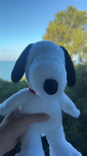 Snoopy Aprende un Nuevo Baile Divertido