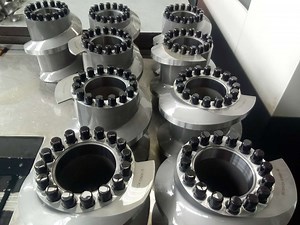 [Hot Item] Andritz Ex1250 Extrusion Screw Element for Food and Fish Industry