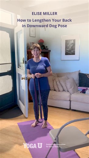 2.8K views · 17 reactions | Compression is the enemy of back health. In this video, Iyengar teacher and Scoliosis specialist Elise Browning Miller shows how to use a strap to release compression and create length in the back in Downward Dog. Full video: https://yogauonline.com/yoga-and-healthy-aging/yoga-for-back-pain/yoga-for-a-healthy-back-elise-miller-shows-how-to-lengthen-your-back-in-downward-dog-pose/ | Yoga U Online | Facebook