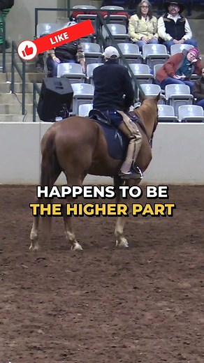 In this lesson, Jack Curtis explains how true flexion starts deep in the body, showing up in the jowl, poll, and neck. He demonstrates that real flexion isn’t just about head position but about releasing tension and rolling through the jowl smoothly. Jack shares that when your horse flexes correctly, it improves balance, responsiveness, and overall connection. By encouraging softness and avoiding force, flexion becomes effortless and natural, leading to a more willing, balanced horse. For more t