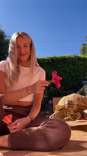 94K views · 5.5K reactions | On his Tippy Toes  | Caitlin and Tiptoe | Facebook